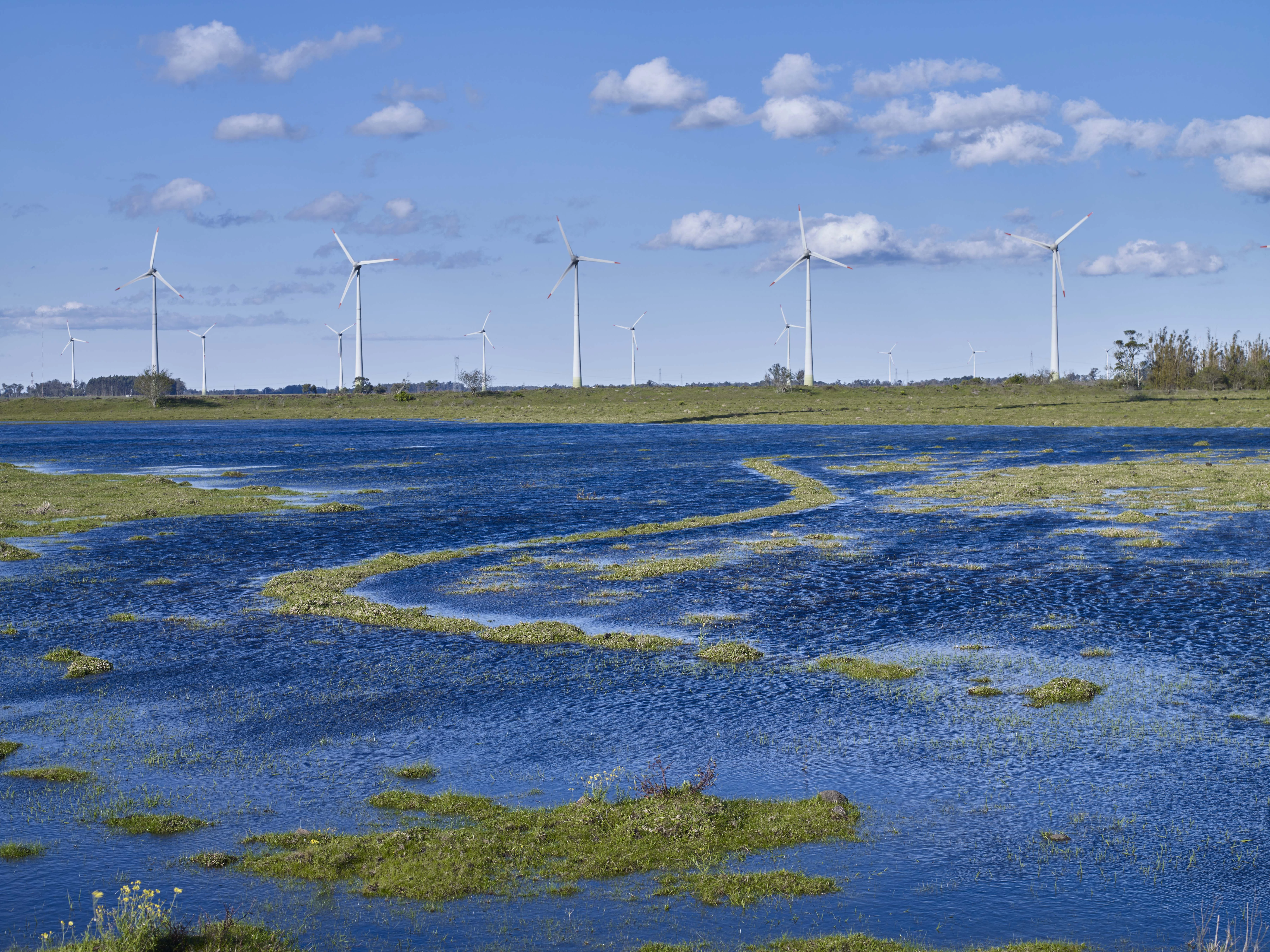  Picture of Wind Power