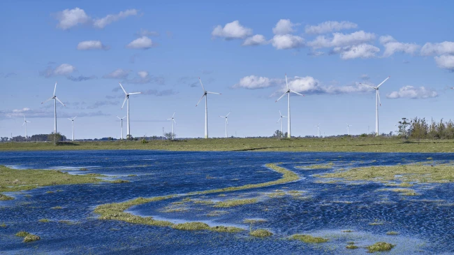 08-parques-eolicos-palmares-brasil-enerfin.jpg